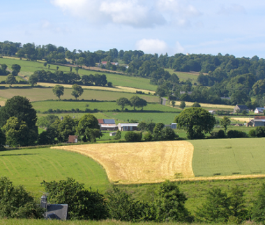 Cerfrance Mayenne - Sarthe, Conseils en agriculture, Le secteur agricole et forestier : émetteur et capteur de gaz à effet de serre