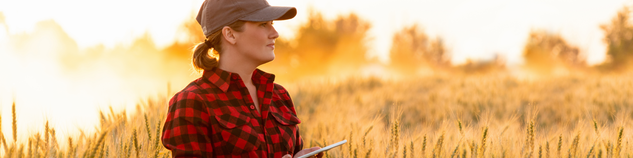 Dégrèvement des taxes foncières pour les jeunes agriculteurs