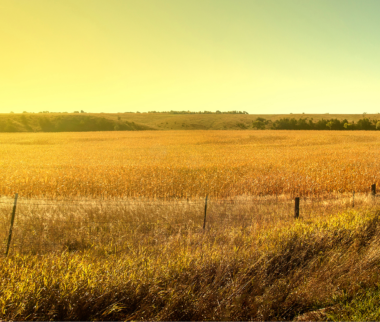 Une indemnité pour les exploitants de prairies impactées par la sécheresse 2022 en Sarthe