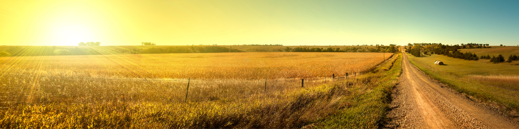 Une indemnité pour les exploitants de prairies impactées par la sécheresse 2022 en Sarthe