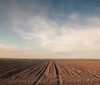 Cerfrance Mayenne - Sarthe, conseil en agriculture, dérogations possible à la couverture des sols et à l’épandage des effluents en Mayenne