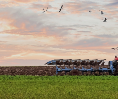 Exonération des plus-values professionnelles pour les entreprises exerçant une activité agricole