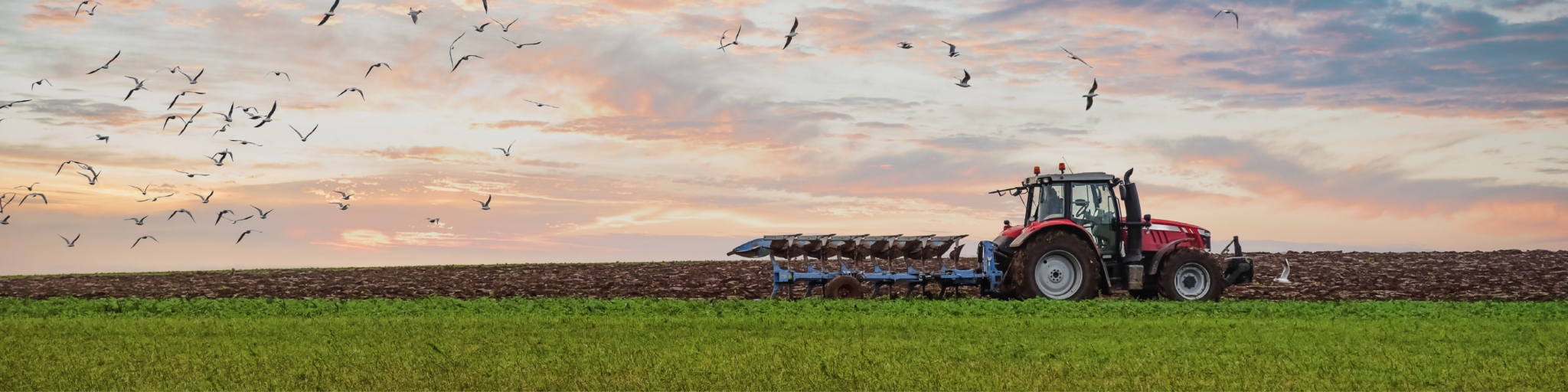 Exonération des plus-values professionnelles pour les entreprises exerçant une activité agricole