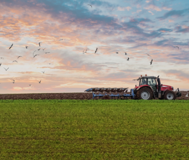 Cerfrance Mayenne - Sarthe, exonération plus-values pour entreprises agricoles