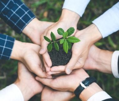Cerfrance Mayenne - Sarthe, conseil en gestion d'entreprise, empreinte carbone atout pour entreprises