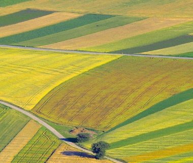 Actualités fiscales 2025 pour les agriculteurs : moisson d’exonérations et récolte de déductions