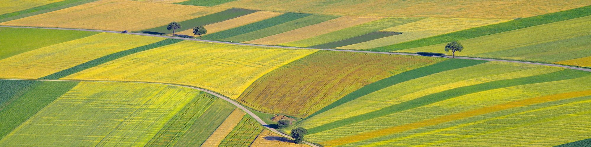 Actualités fiscales 2025 pour les agriculteurs : moisson d’exonérations et récolte de déductions