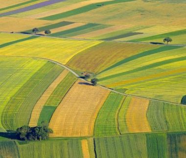 Cerfrance Mayenne-Sarthe, conseil fiscal en agriculture, moisson d’exonérations et récolte de déductions 2025