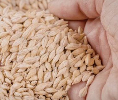 cerfrance, conseil pour entreprise agricole, aide urgence pour producteurs céréales et protéagineux