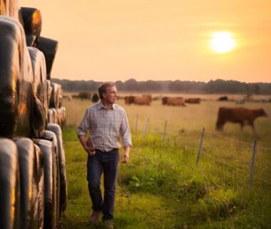 Cerfrance, conseil en agriculture, pret de consolidation prolongé
