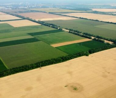 Cerfrance conseil pour les agriculteurs, Fermages et taxes foncières campagne 2026-2027
